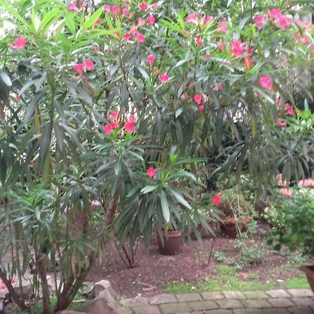 פריז Ile Saint-Louis Glamorous Flat מראה חיצוני תמונה
